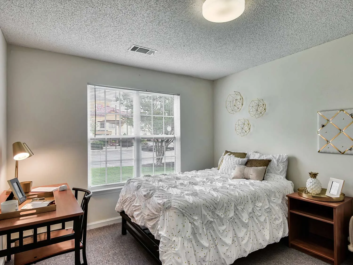 Apartment Amenities